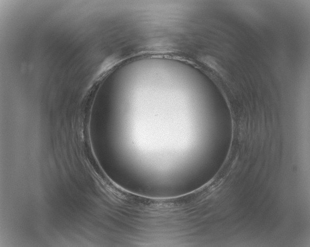 X0000053001451200507151909