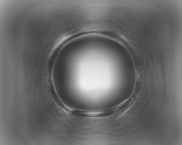 X0000053001453200507151909