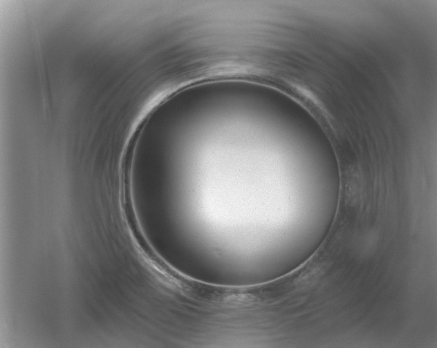 X0000053001467200507151908