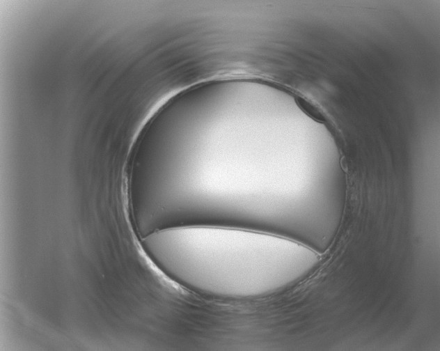 X0000053001476200507151908