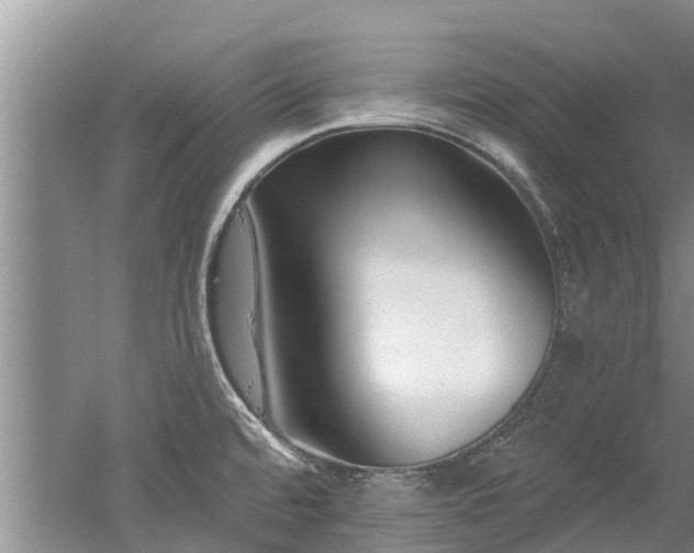 X0000053001480200507151908