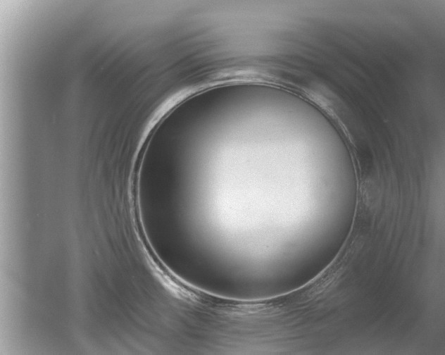 X0000053001482200507151908
