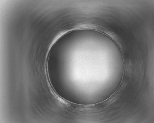 X0000053001486200507151908