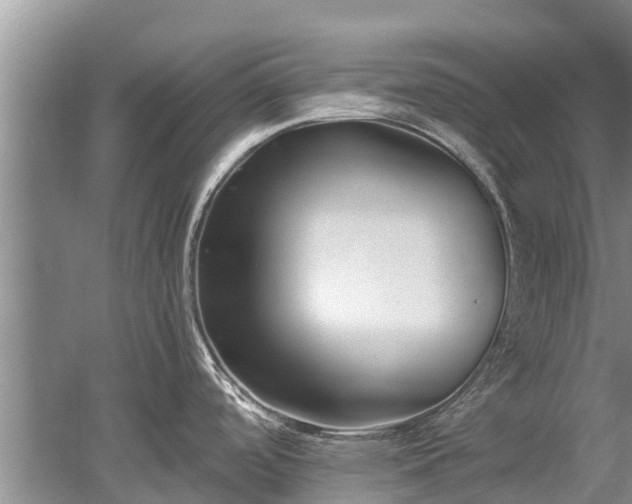 X0000053001488200507151908