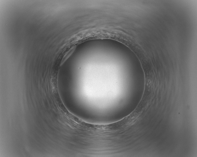 X0000053001490200507151907
