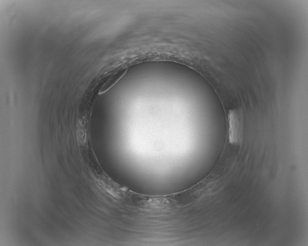 X0000053001491200507151907