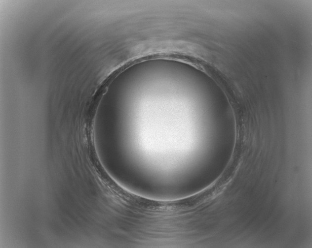 X0000053001497200507151907