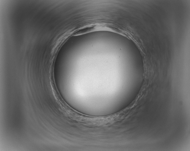 X0000053000001200507221259