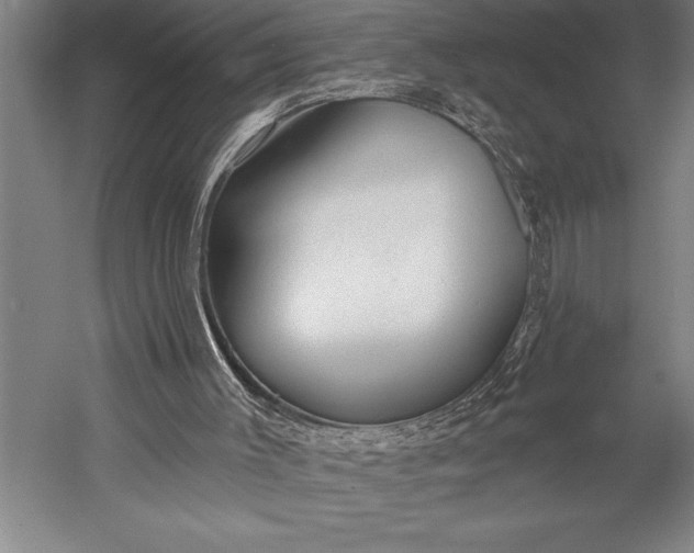 X0000053000003200507221259