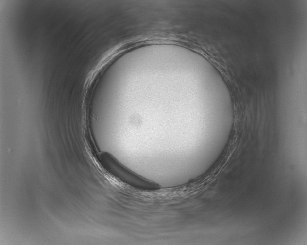 X0000053000005200507221259