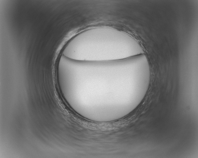 X0000053000006200507221259