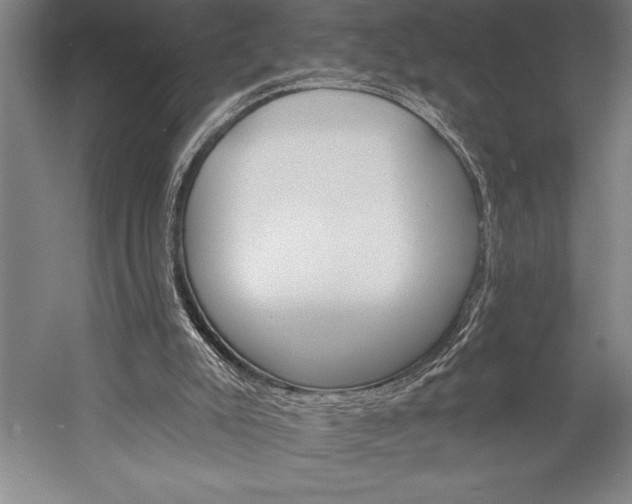 X0000053000007200507221259