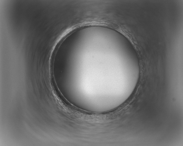 X0000053000008200507221259