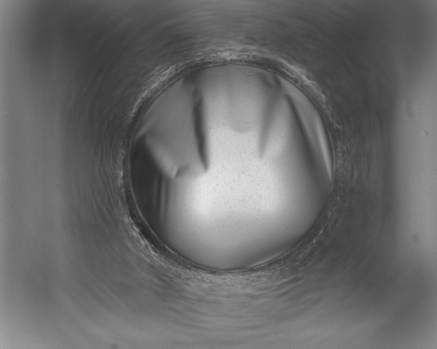 X0000053000010200507221259