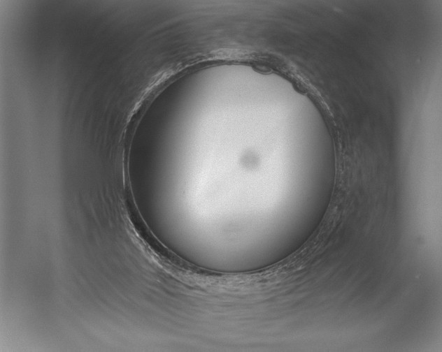 X0000053000011200507221259