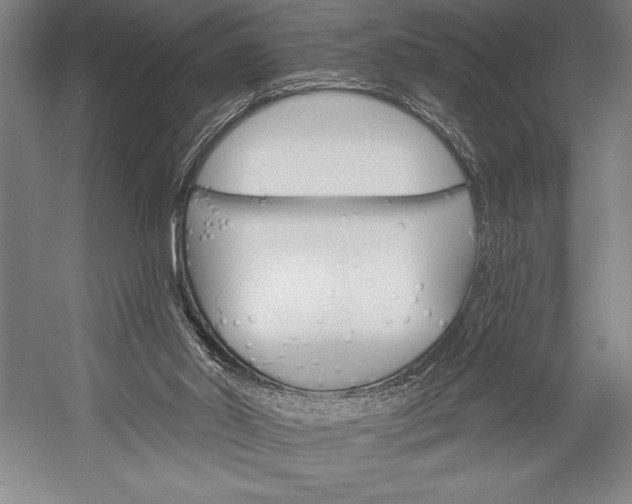 X0000053000014200507221259