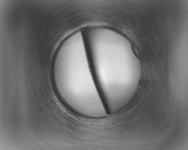 X0000053000015200507221259