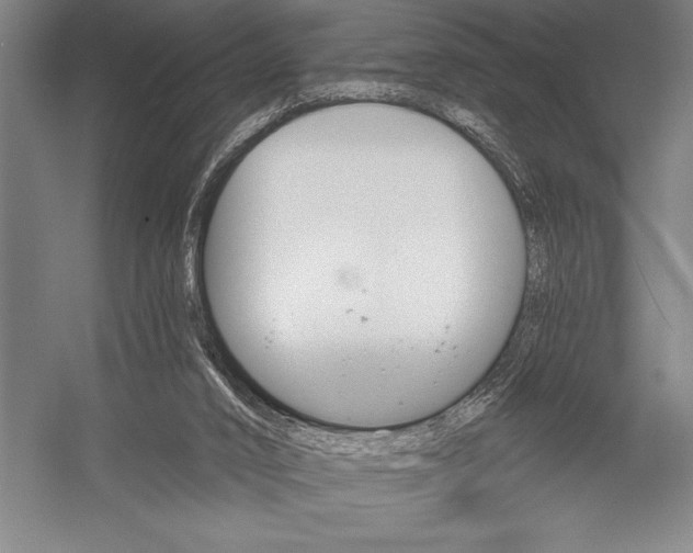 X0000053000016200507221259