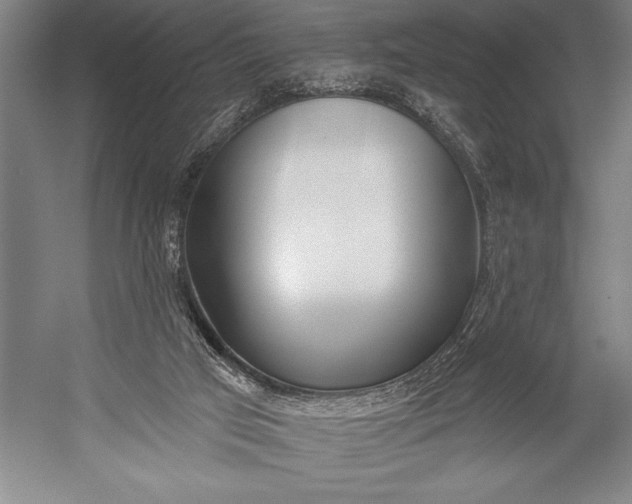 X0000053000017200507221259