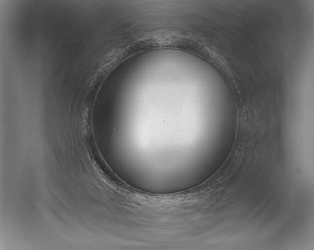 X0000053000018200507221259