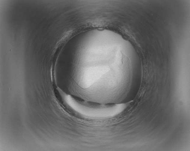 X0000053000019200507221259