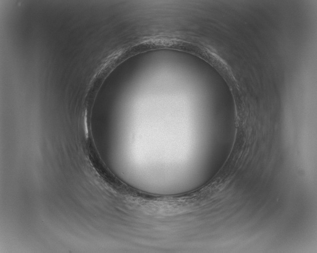 X0000053000020200507221259