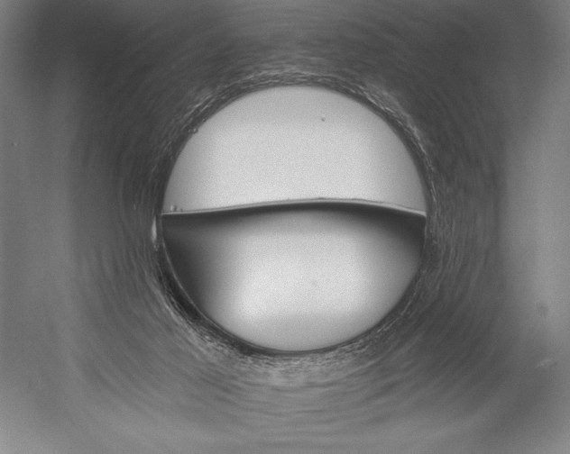 X0000053000021200507221259