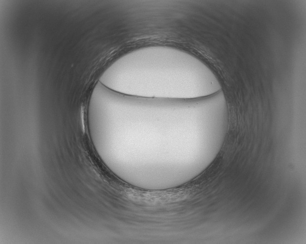 X0000053000022200507221259