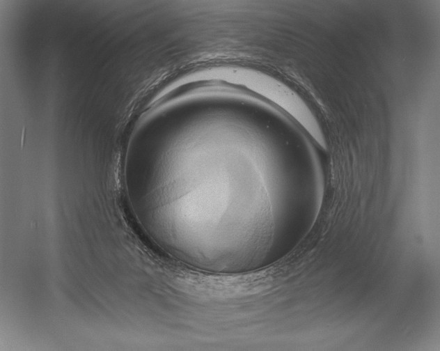 X0000053000023200507221259