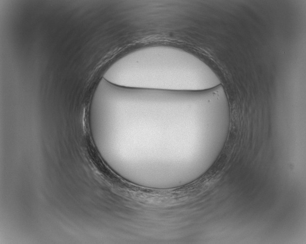 X0000053000024200507221259