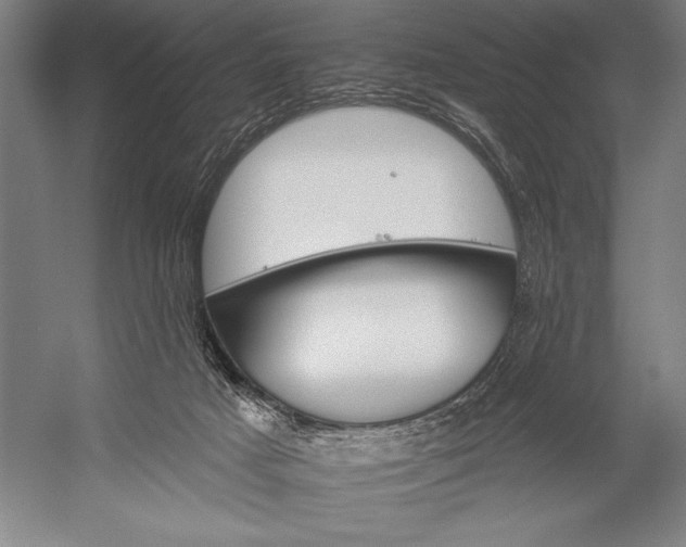 X0000053000025200507221259