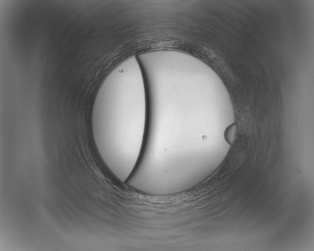 X0000053000026200507221259