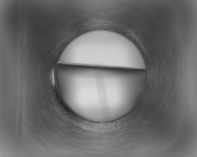 X0000053000027200507221259