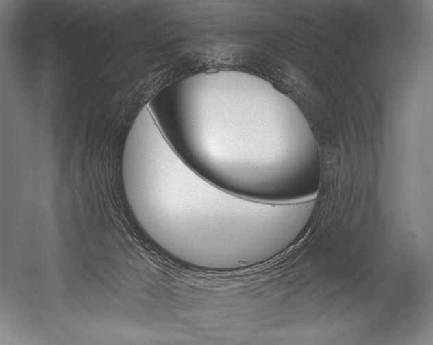 X0000053000029200507221259