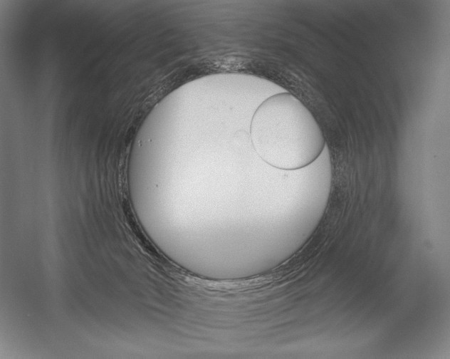 X0000053000030200507221259