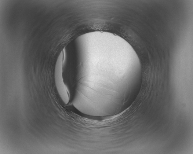 X0000053000031200507221259