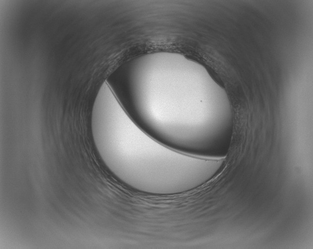 X0000053000033200507221259