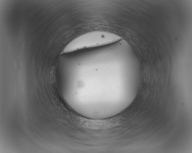 X0000053000034200507221258