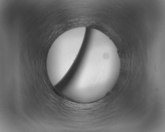 X0000053000035200507221258