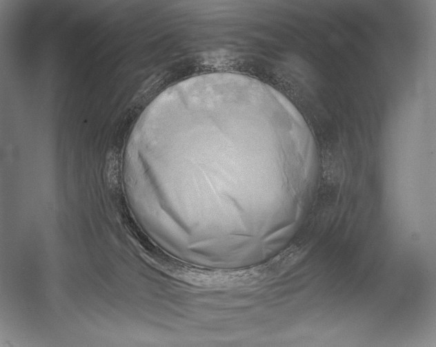 X0000053000036200507221258