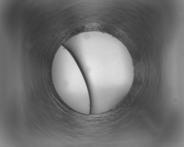 X0000053000038200507221258