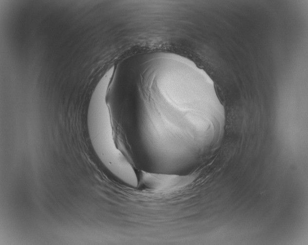 X0000053000039200507221258