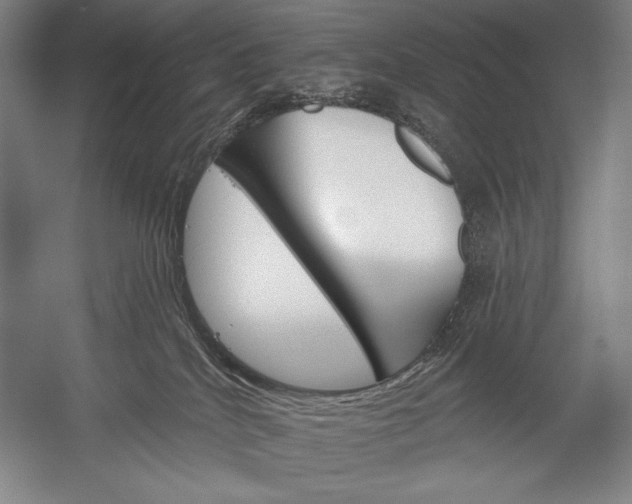 X0000053000040200507221258