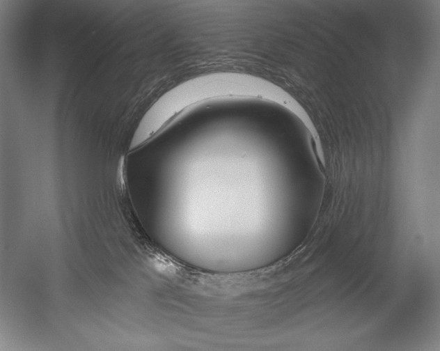 X0000053000041200507221258