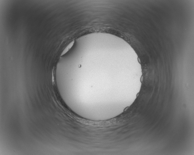 X0000053000042200507221258