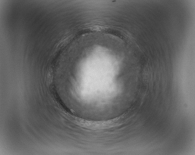 X0000053000043200507221258