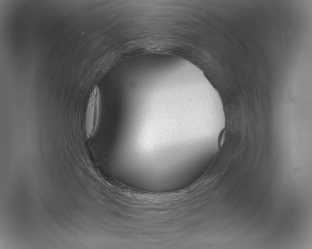 X0000053000044200507221258