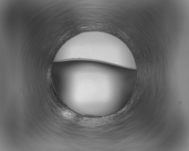 X0000053000045200507221258