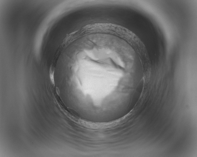 X0000053000047200507221258