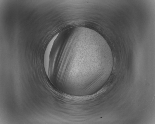 X0000053000048200507221258